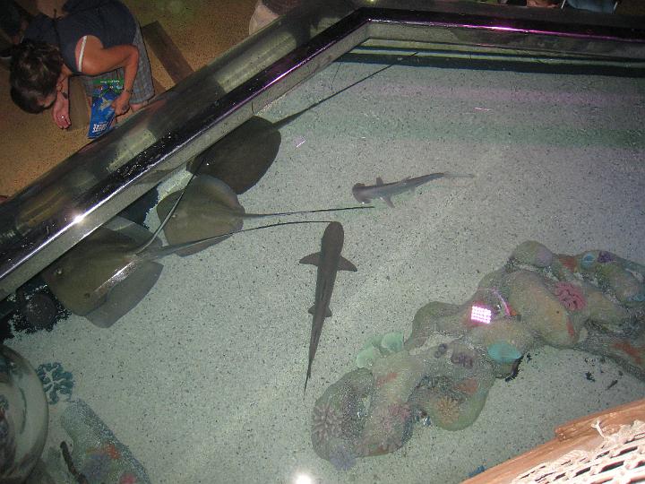 Aquarium 09.JPG